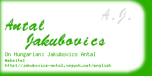 antal jakubovics business card